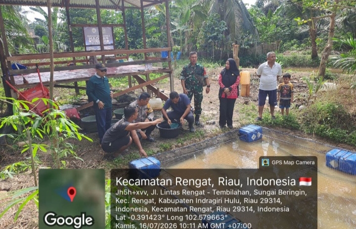 Babinsa Koramil 01/Rengat Dukung Ketahanan Pangan Melalui Budidaya Ikan