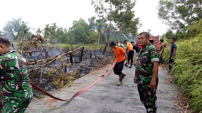 Kecamatan Payung Sekaki, Tampan, Tenayan Raya dan Rumbai Rawan Kebakaran Lahan