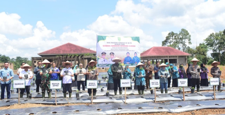 Dandim 0302/Inhu - Kuansing Hadiri Hari Pangan Sedunia Ke - 80 Sekaligus Tanam Cabai Dilahan Percontohan