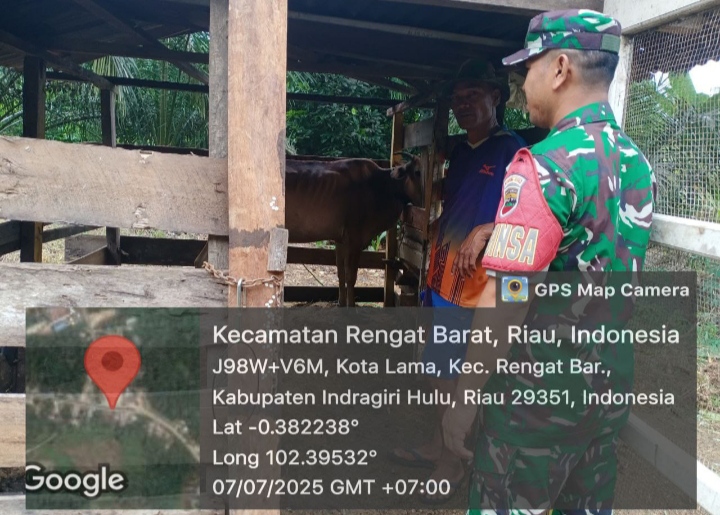 Cegah Pengaruh Penyakit Rugikan Peternak Babinsa Koramil 01/Rengat Taja Kegiatan Sosialisasi PMK