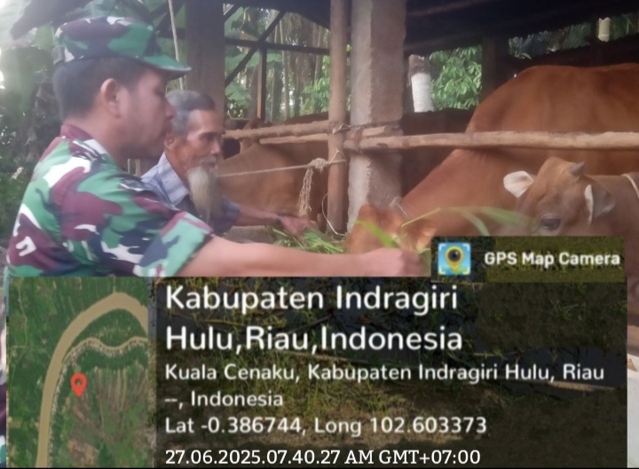 Tidak Ada Kata Bosan Guna Antisipasi PMK Babinsa Pantau Kesehatan Ternak Hingga Kekandang