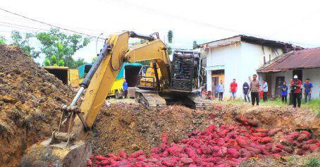 Bea Cukai Pekanbaru Timbun 29 Ton Lebih Bawang Merah Selundupan Asal Malaysia