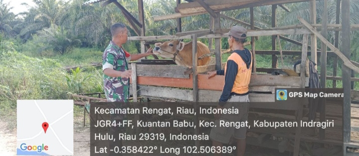 Pelda Sumarno Terus Monitoring Untuk Upaya Cegah PMK Di Desa Kuantan Babu