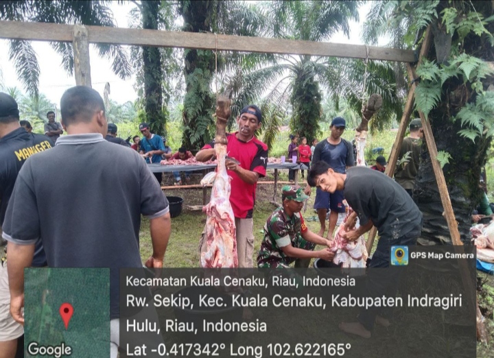 Wujudkan Peran Dan Fungsinya, Babinsa Berbaur Dengan Warga Penyembelihan Hewan Kurban