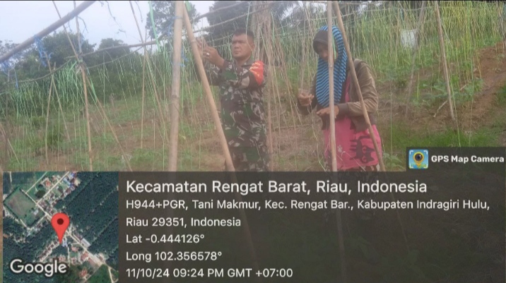 Peduli Petani Desa Binaan Babinsa Turun Tangan Bantu Membuat Pancanggan Untuk Kacang Panjang