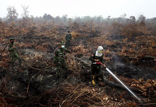 Penanggulangan Kebakaran Hutan, KLHK Alokasikan Anggaran Tambahan