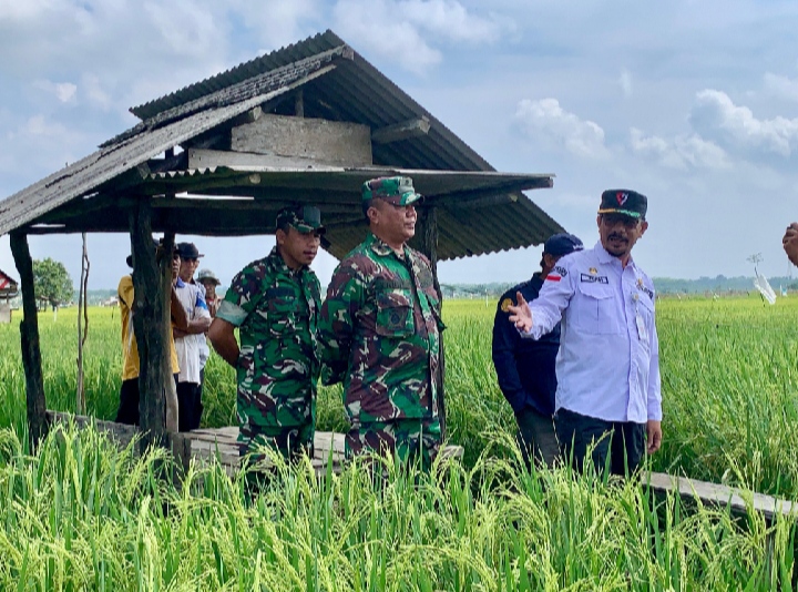 Kodim 0302/Inhu Lakukan Peninjauan Lokasi OPLAH Dengan Irjen Wahdan Florikuktura Sekaligus Live Streaming.