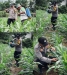Bersempena Dengan HUT Bhayangkara Ke-80 Polsek Lirik Tetap  Pengecekan Pertumbuhan Jagung Pipil Binaan Di Desa Lirik Area